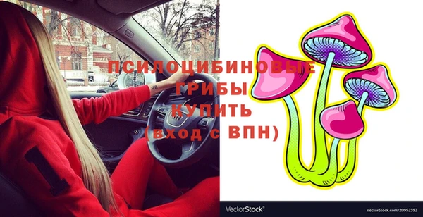 амф Алексеевка