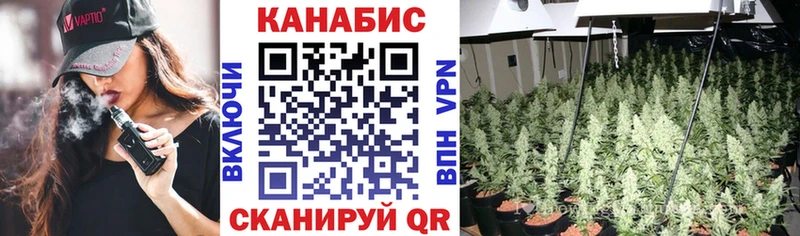Канабис план  закладка  omg ссылка  Южно-Сахалинск 